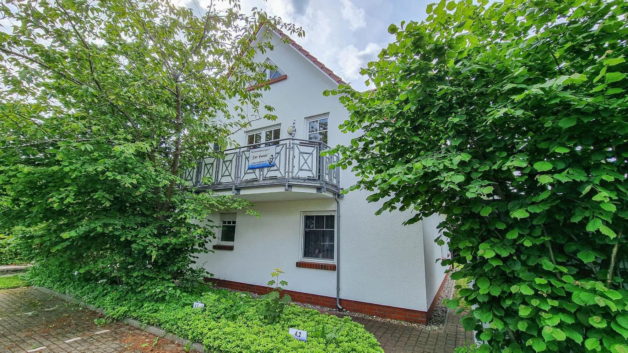זינקסט Zur Hanse Wohnung 3 3 - Lingnau מראה חיצוני תמונה